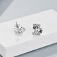 Raccoon STERLING SILVER Stud Earrings